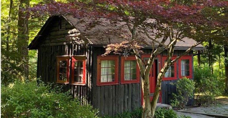 13 Pennsylvania Treehouses And Cabins That Feel Like They’re From A Storybook