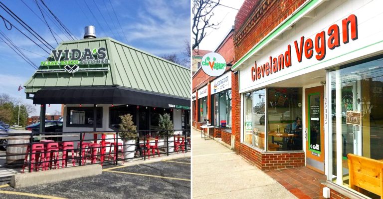 13 Plant-Based Restaurants In Ohio That Even Dedicated Meat Lovers Are Talking About In 2026