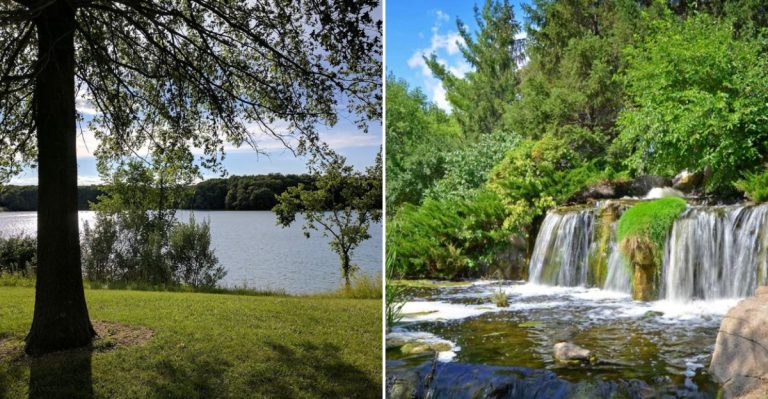 13 Refreshing Illinois Lakeside Day Trips To Take This Summer
