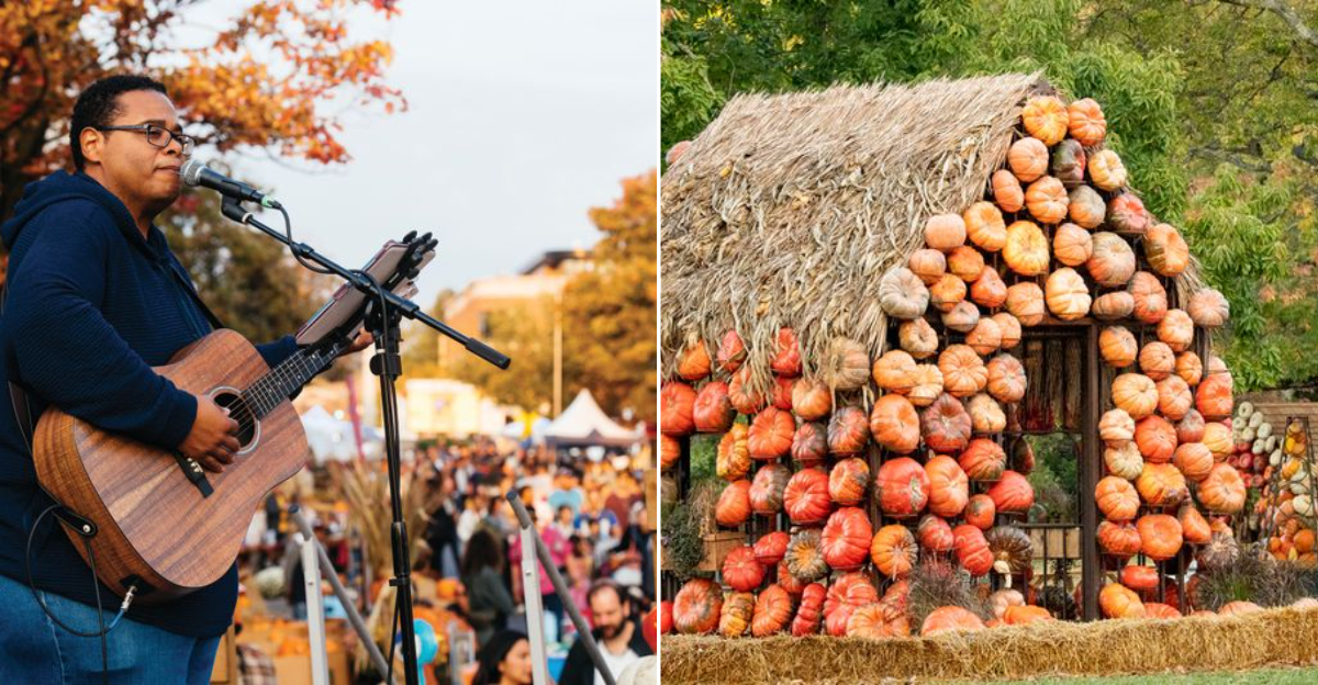 Tennessee Fall Festivals You’ll Visit For the Flavor and Fun
