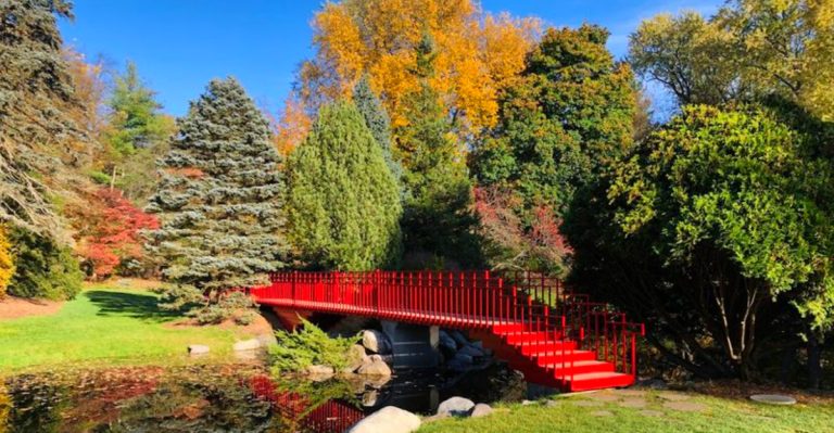 13 Underrated But Can’t-Miss Places In Michigan For Out-Of-Towners