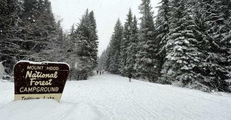 13 Winter Hiking Trails In Oregon That Will Take Your Breath Away