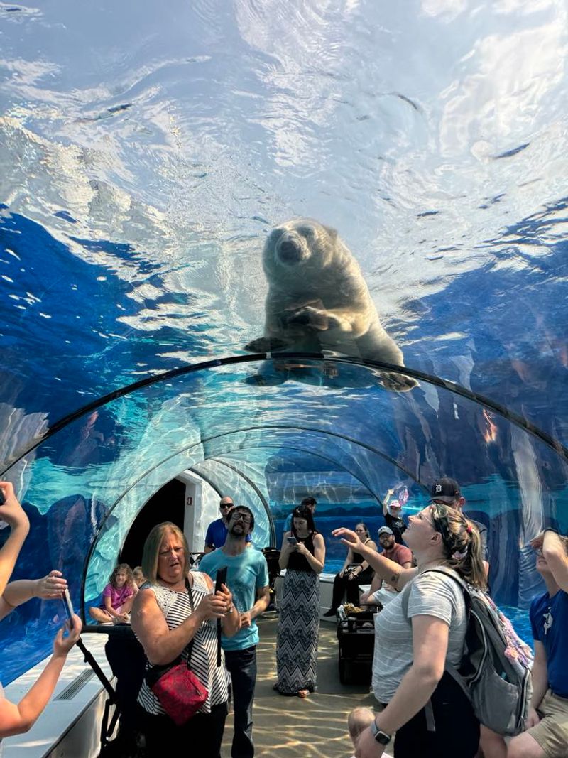 Detroit Zoo, Royal Oak