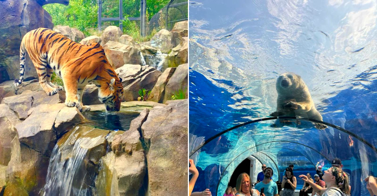 Best Aquariums And Animal Parks In Michigan