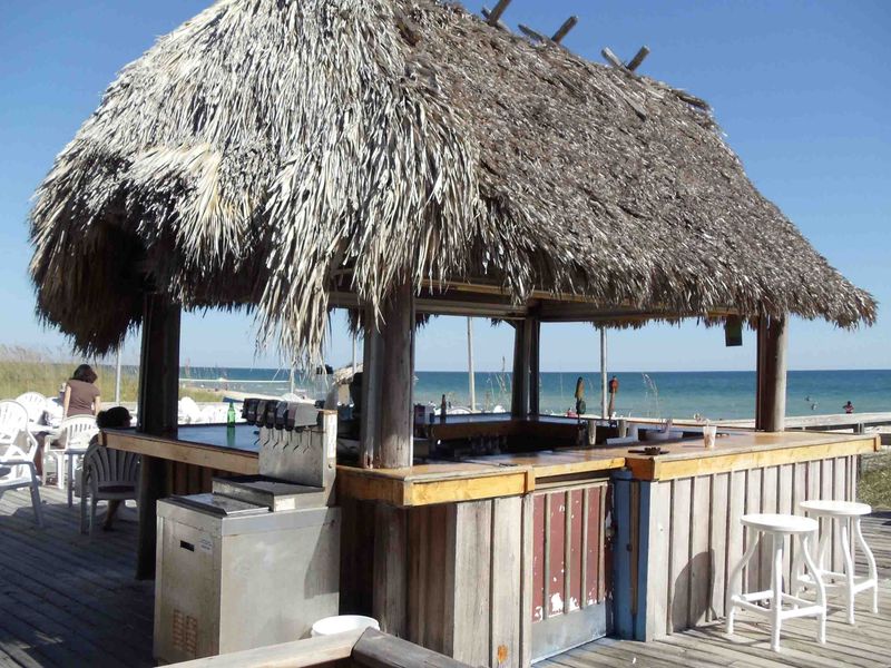 Salt-Sprayed Charm at Blue Parrot Oceanfront Cafe