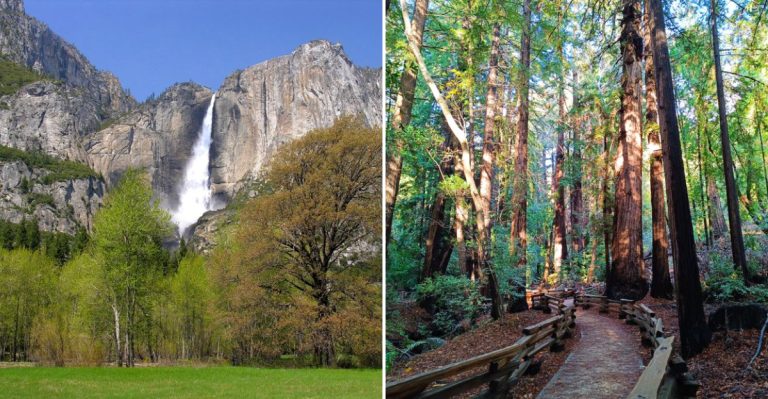 14 Best Weekend Getaways In California You Can’t Miss In 2026