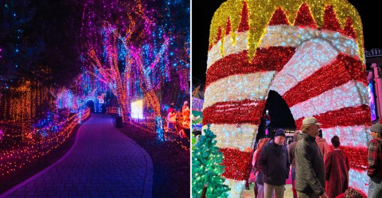 14 California Christmas Markets Where The Food Is Better Than The Shopping