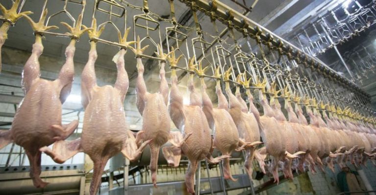 14 Familiar U.S. Foods That Are Banned In Other Countries