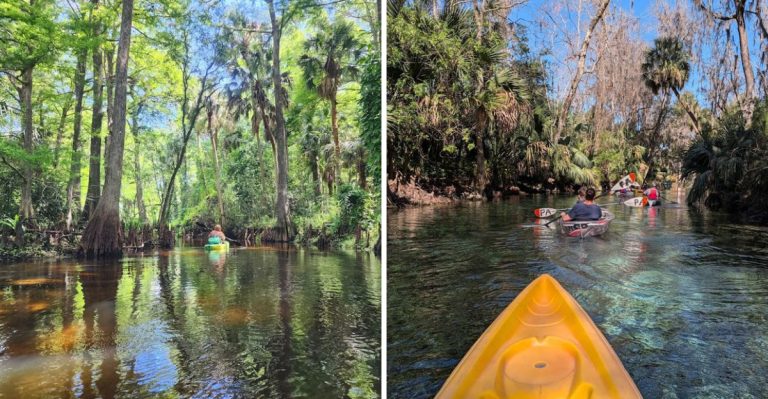 14 Florida State Parks With Budget-Friendly Cabins And Yurts Just Steps From The Water
