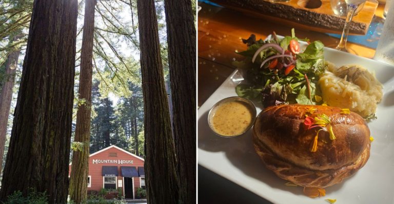 14 Forest Restaurants In Northern California That Feel Magical