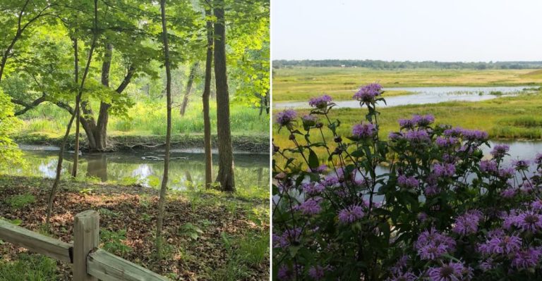 14 Gorgeous Illinois Hikes With Views You’ll Want To See