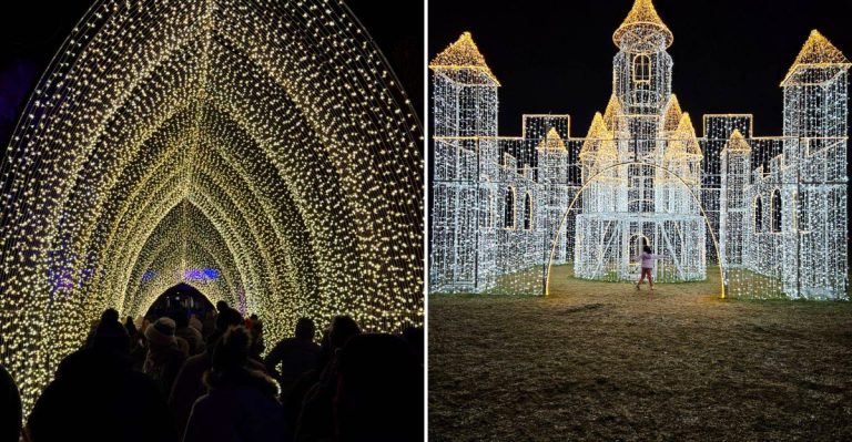 14 Illinois Cities With Christmas Light Shows Everyone Should Visit Once