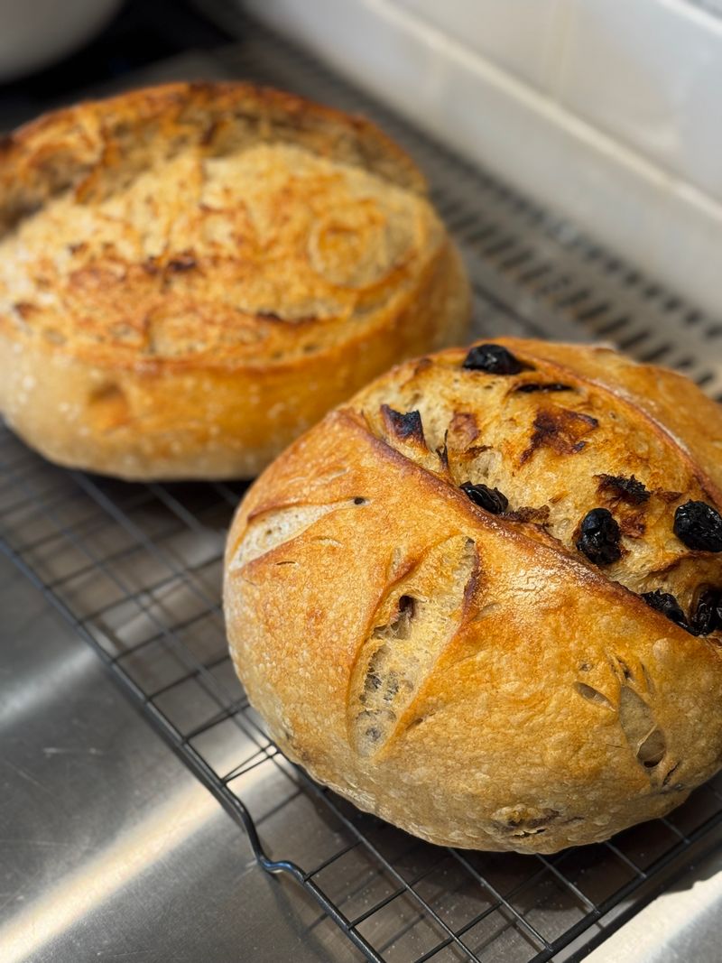 Black Squirrel Bakery Cafe (Hillman)