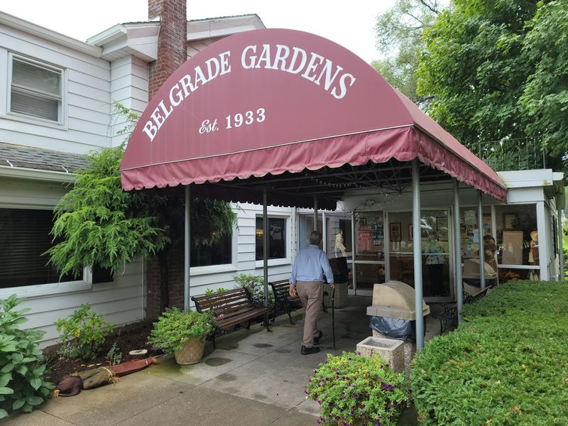 Belgrade Gardens, Barberton