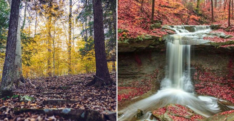 14 Ohio Outdoor Day Trips To Refresh Your Soul In 2026