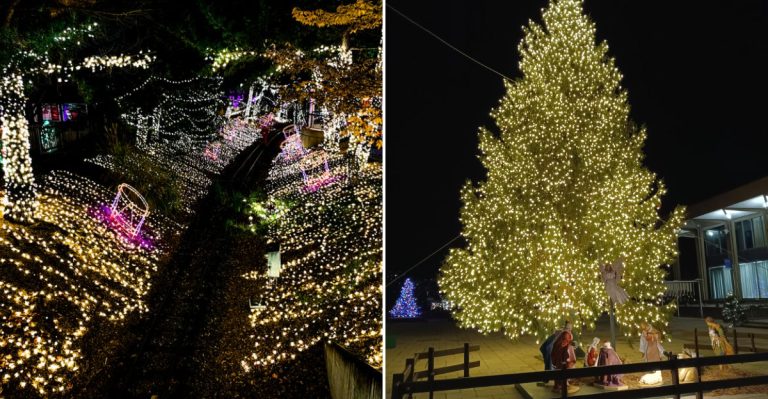 14 Pennsylvania Christmas Towns Where The Holiday Spirit Takes Over the Entire Main Street