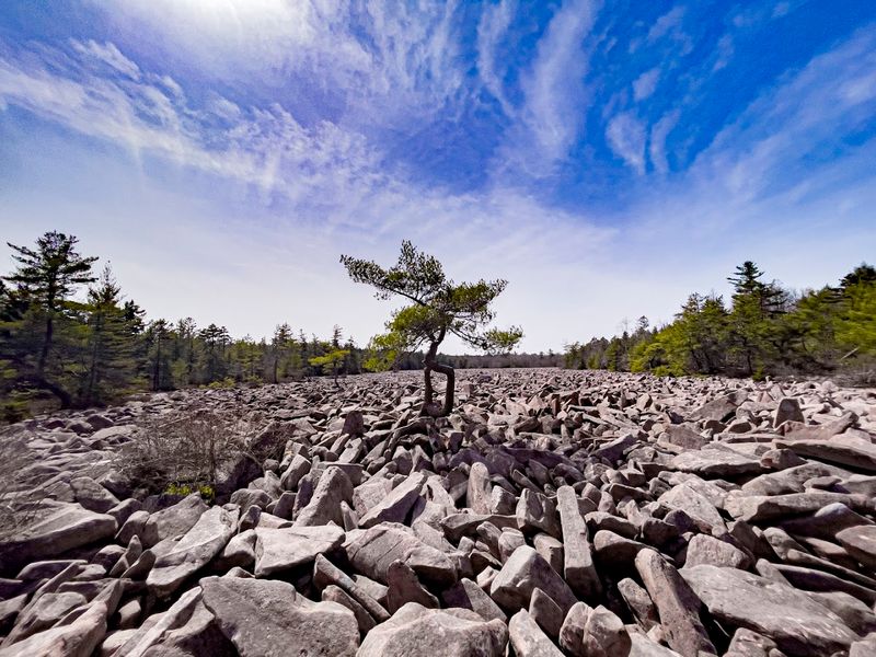Boulder Field, Hickory Run State Park