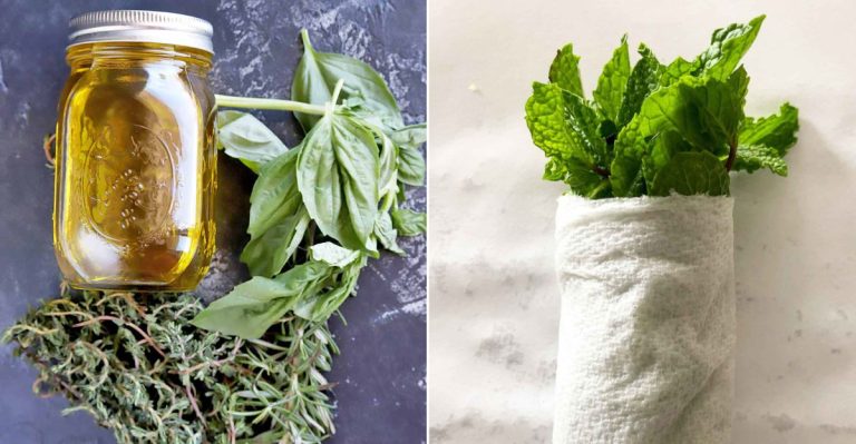 14 Tips For Using Fresh Herbs Before They Wilt In Your Fridge