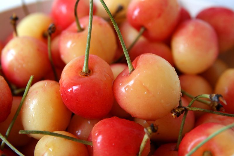 Rainier Cherries: Sunshine in Fruit Form