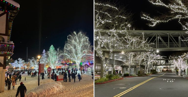 14 Washington Winter Destinations That Become Magical At Christmas