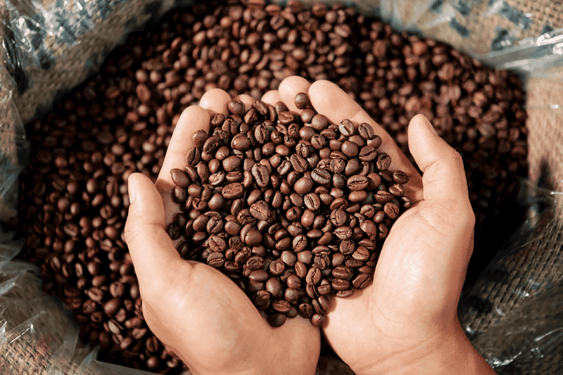 Use Freshly Roasted Beans