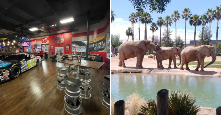 15 Arizona Spots That Make A Birthday Party Feel Like Childhood Again