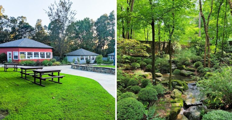 15 Charming Experiences That Show What Makes Arkansas Truly Unique