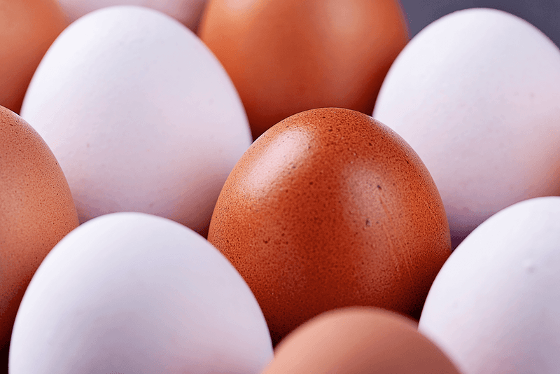 Brown Eggs Are More Nutritious Than White Ones