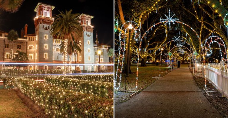 15 Florida Cities Featuring Christmas Light Displays Everyone Should Experience