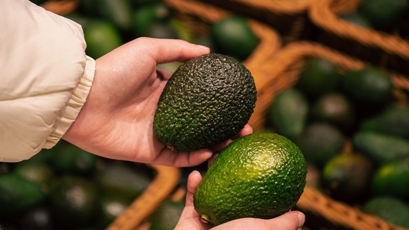 Avocados Under Threat