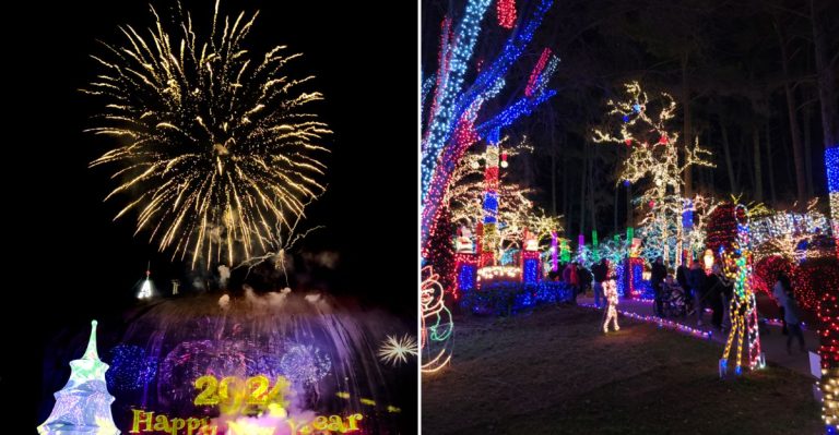 15 Georgia Cities With Christmas Light Displays Everyone Should See At Least Once