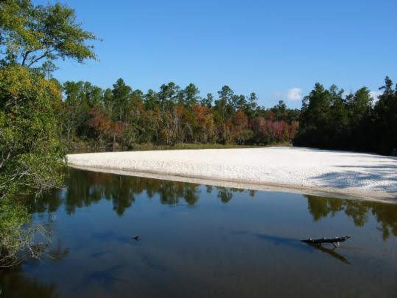 Blackwater River State Park – Milton, FL