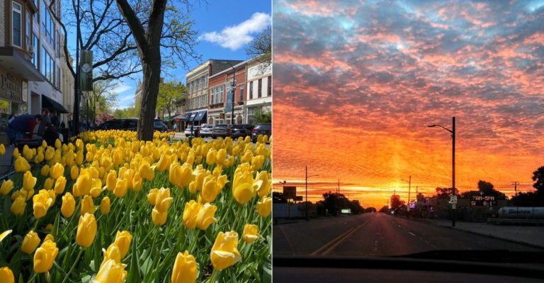 15 Michigan Cities With Christmas Light Displays Everyone Should Experience Once