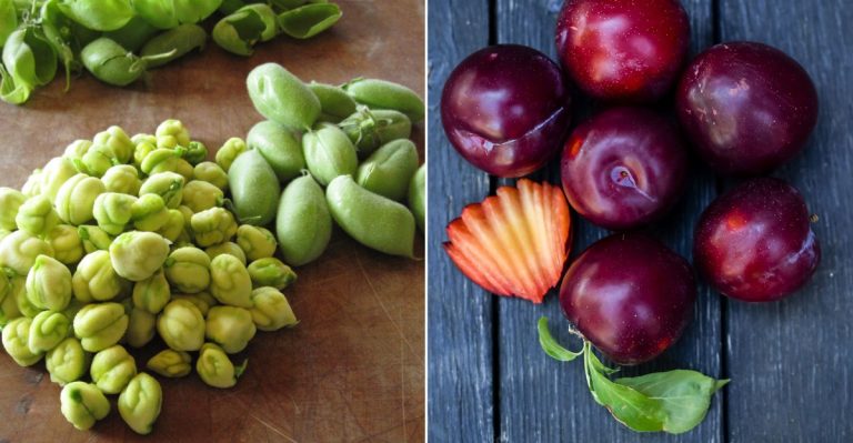 15 Must-Have Farmers Market Finds In California That Locals Love (But Tourists Often Miss)