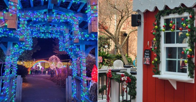 North Carolina Christmas Towns Where the Holiday Spirit Takes Over Every Block of Main Street