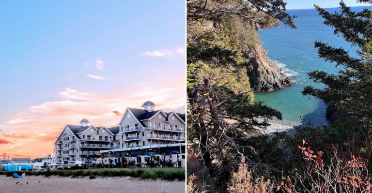 15 Only-In-Maine Experiences, From Puffins To Toboggans And Beyond