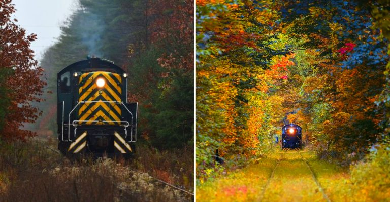 New York Train Rides That Show Off the State’s Most Stunning Fall Scenery