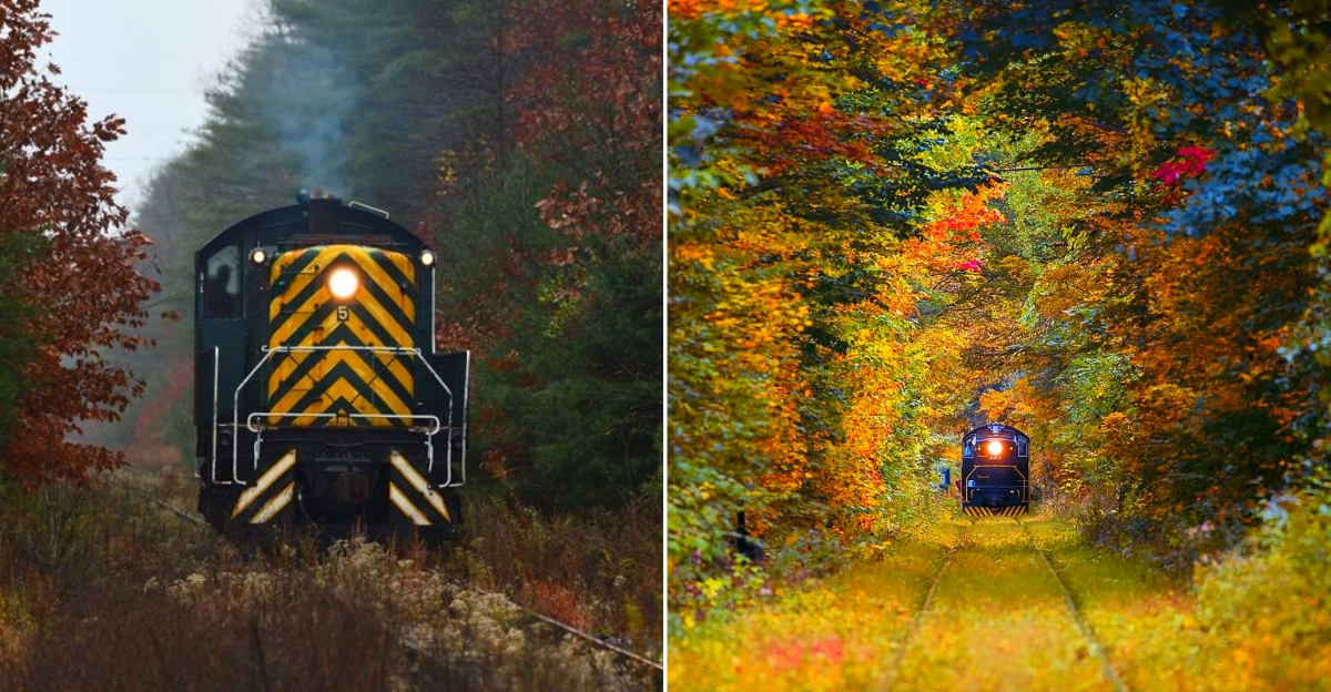 New York Train Rides That Show Off the State’s Most Stunning Fall Scenery