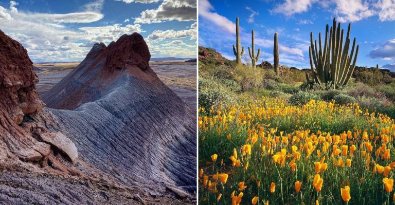 15 Unforgettable Arizona Day Trips You Can Easily Take In 2026