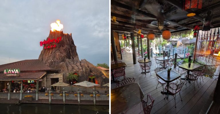 16 Fun And Wacky Restaurants In Florida You Have To Try