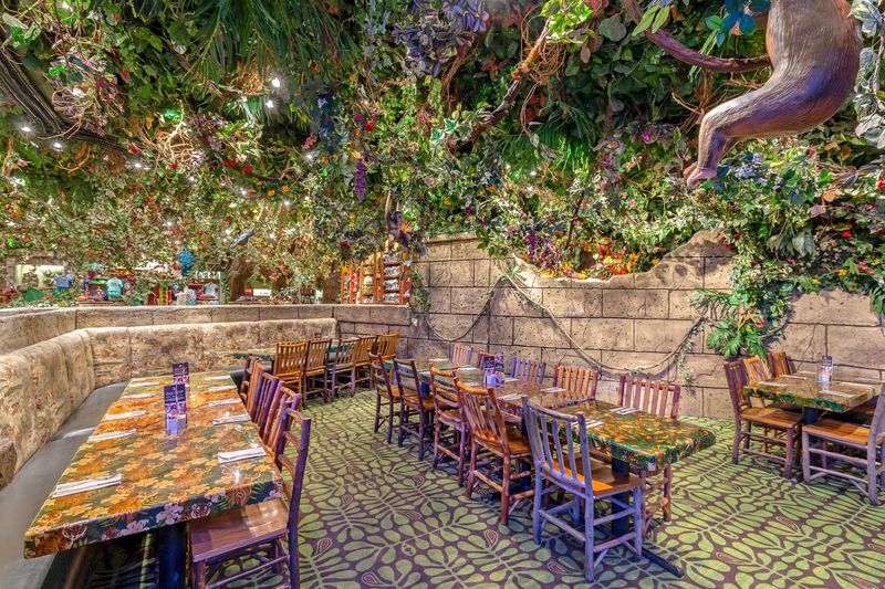 Rainforest Cafe - Gurnee