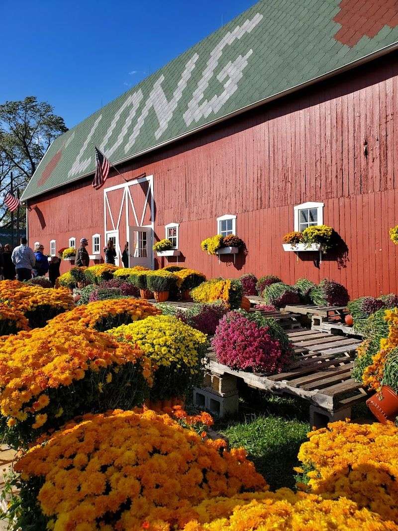 Long Family Orchard, Farm & Cider Mill, Armada
