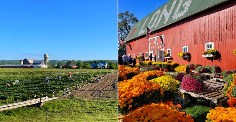 Roadside stands perfect for spring produce shopping