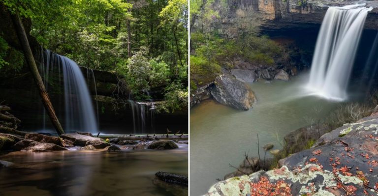 17 Alabama Hidden Waterfalls That Locals Say Are Worth Every Mile