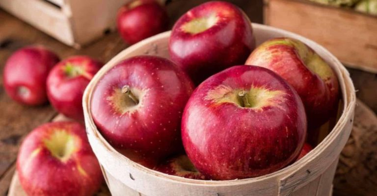 17 Apple Varieties Perfect For Baking, Snacking, And Everything In Between