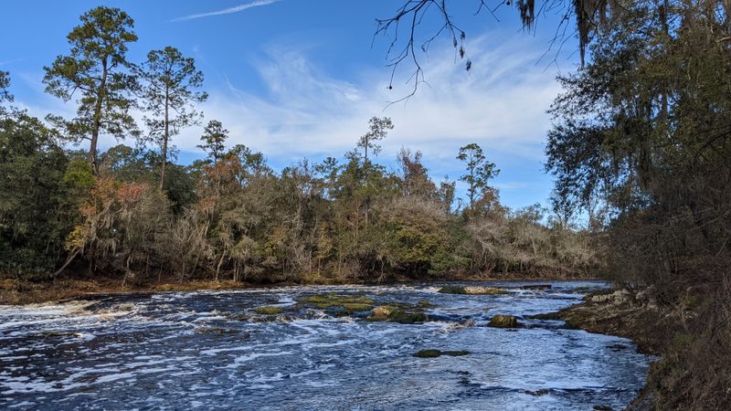 Big Shoals State Park - White Springs