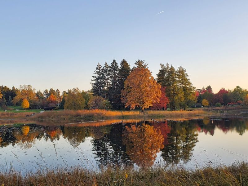 1,700 Acres Of Tree Magic