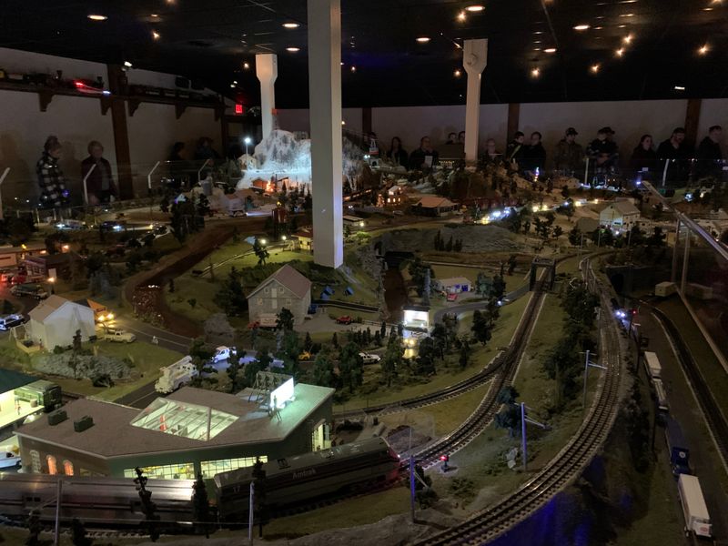 Day and Night Cycles Transform Everything