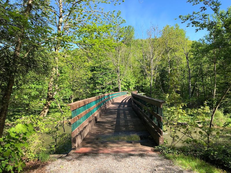 A Trail Network Built for Every Skill Level