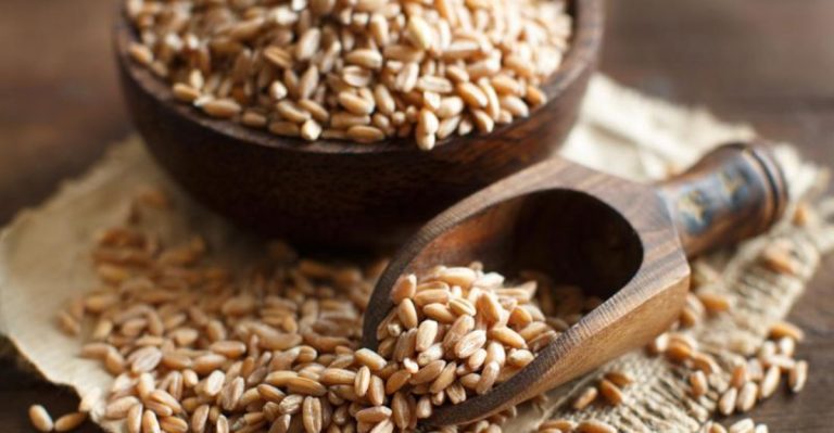 20 Meat-Free Foods That Are Packed With Protein